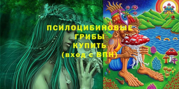 молекула духа Наволоки