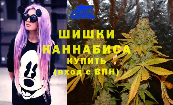 молекула духа Наволоки