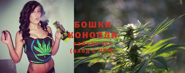 эйфоретик Михайлов