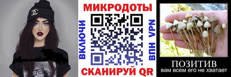 Галлюциногенные грибы GOLDEN TEACHER  Купить закладки  Харабали 